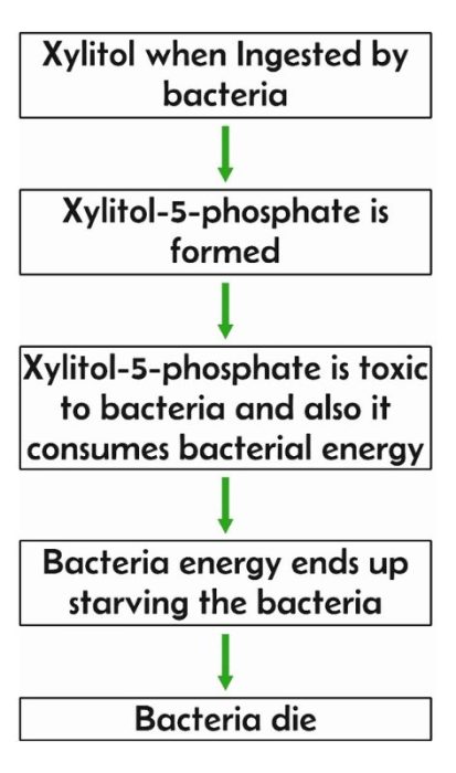 Xylitol